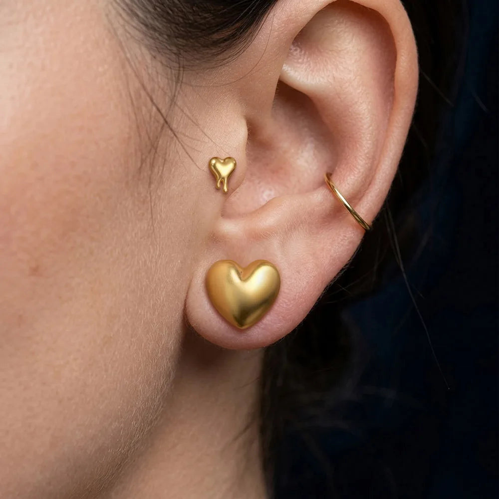 Plugs cœur en acier 316L (paire)