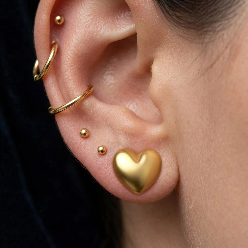 Plugs cœur en acier 316L (paire)