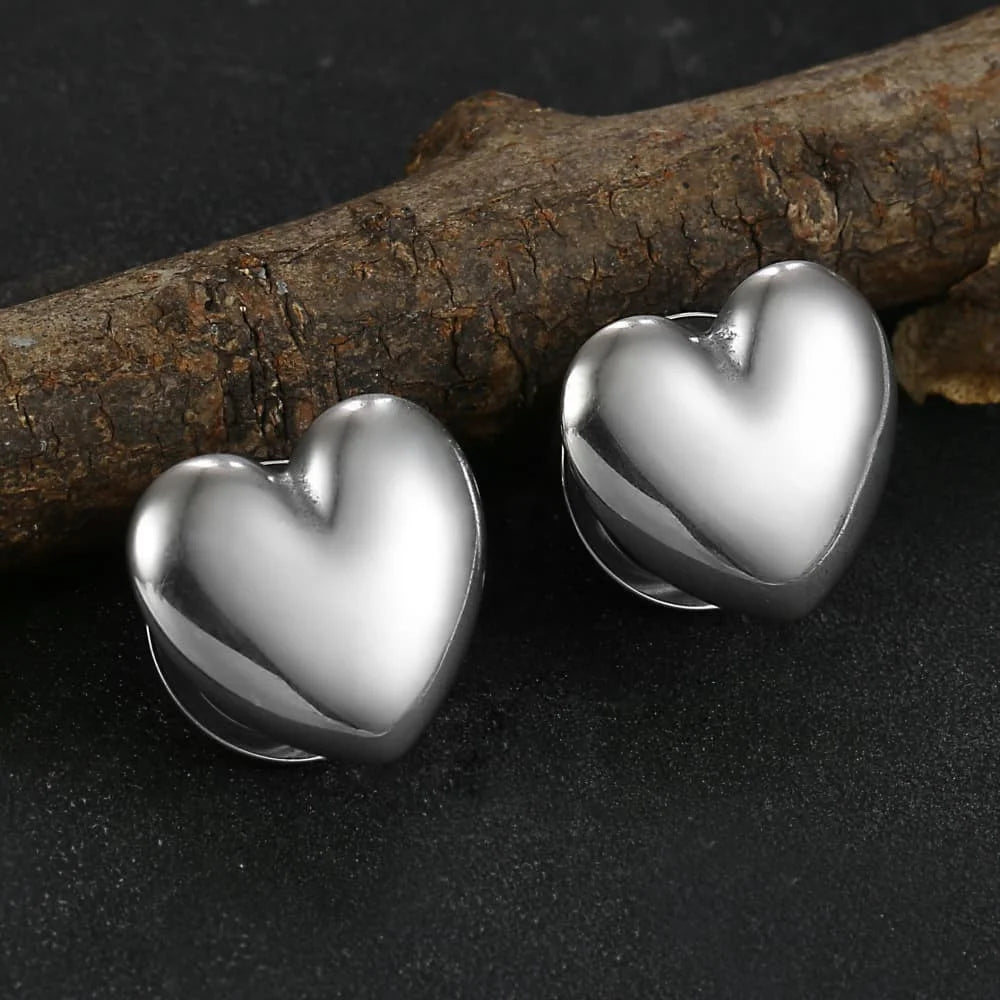 Plugs cœur en acier 316L (paire)