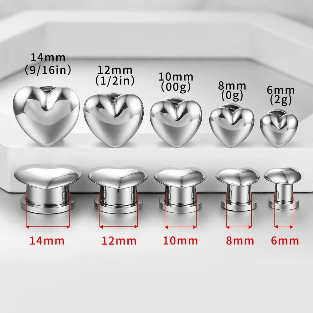 Plugs cœur en acier 316L (paire)