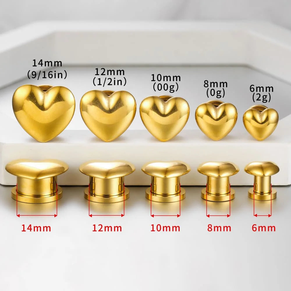 Plugs cœur en acier 316L (paire)