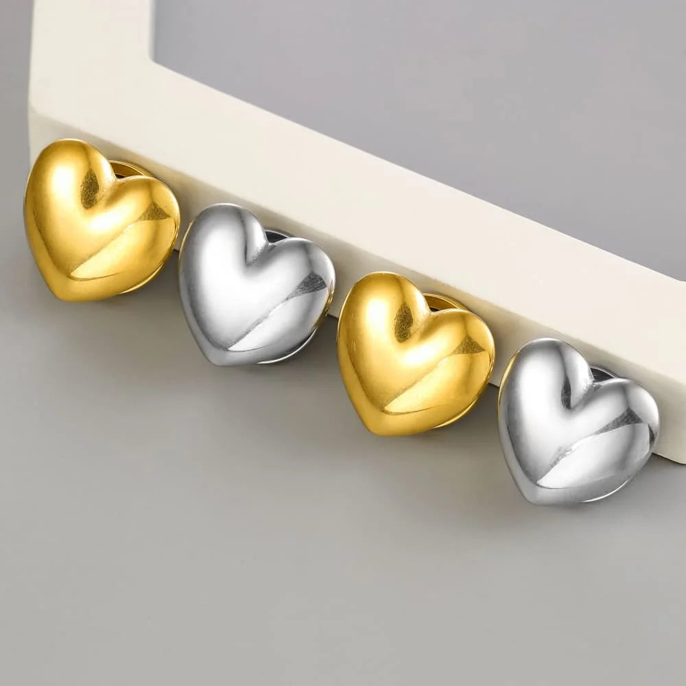 Plugs cœur en acier 316L (paire)