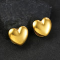 Plugs cœur en acier 316L (paire)