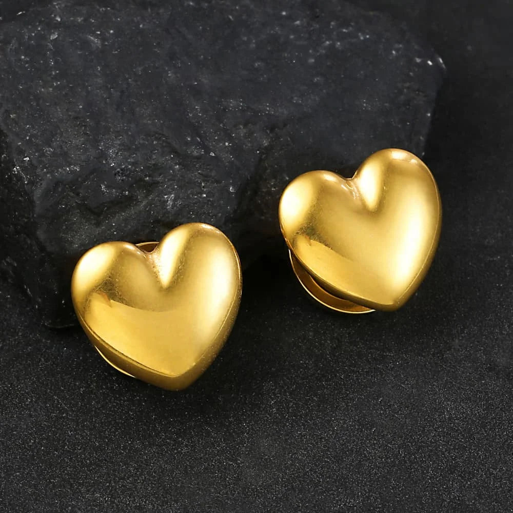Plugs cœur en acier 316L (paire)