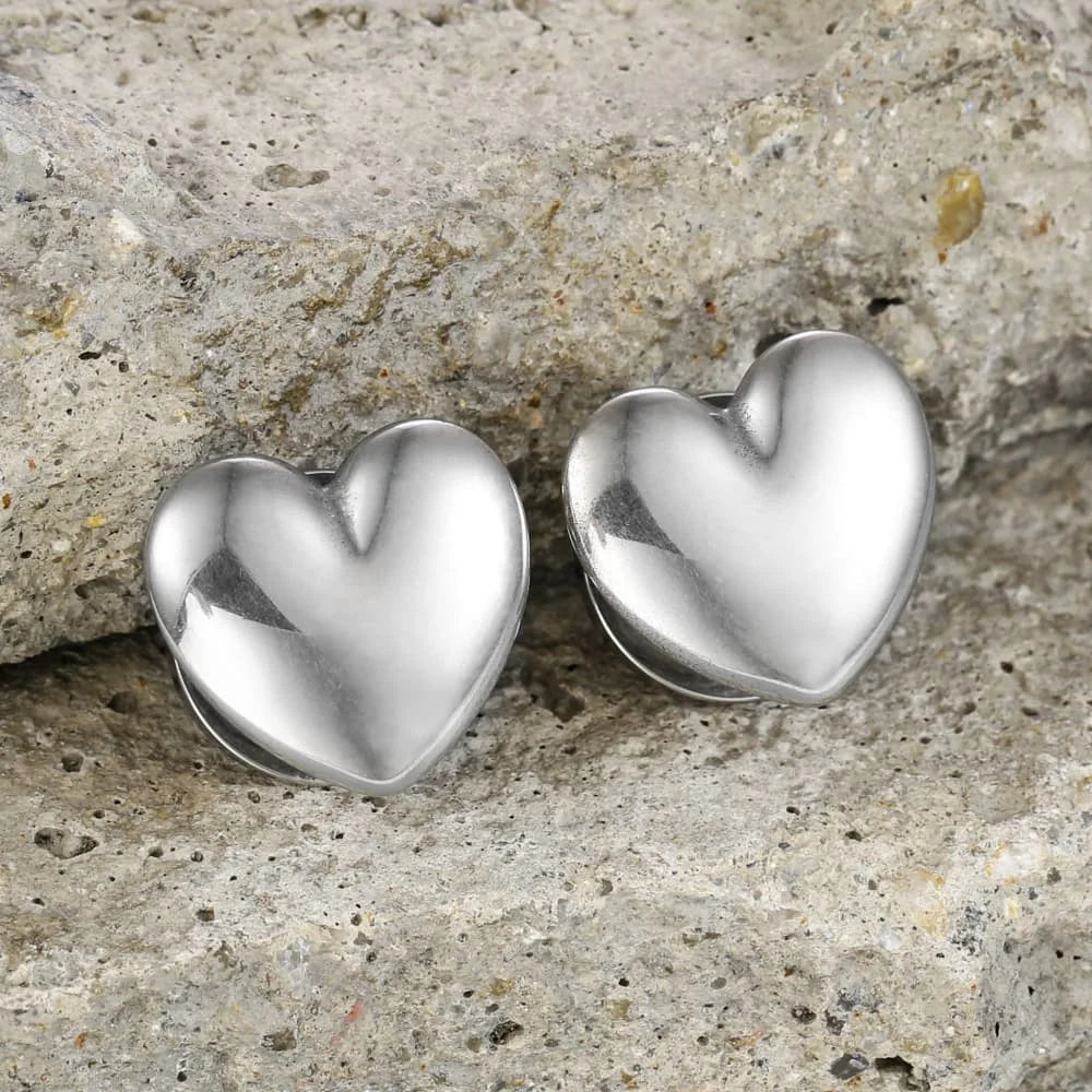 Plugs cœur en acier 316L (paire)